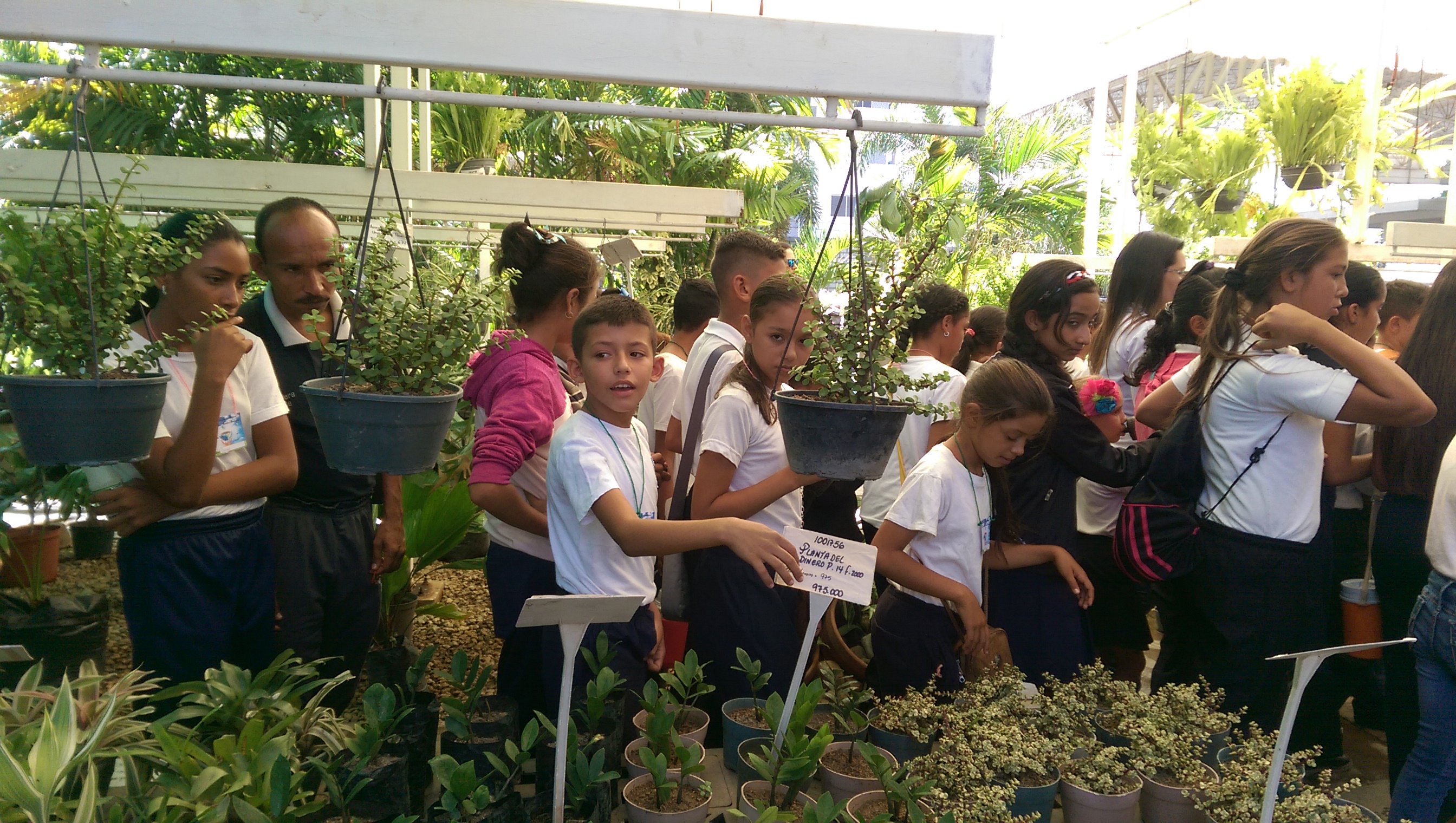 Paseo ecoturístico por el Día Mundial del Ambiente